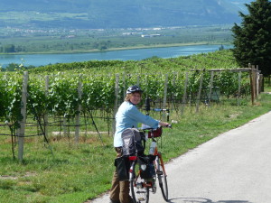 Bild 045
